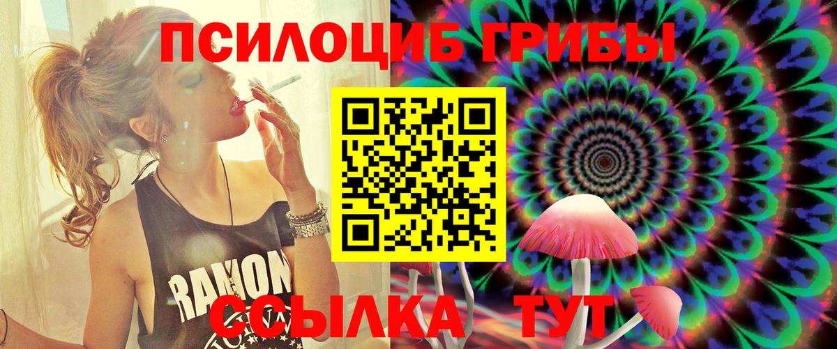 Галлюциногенные грибы ЛСД  Вход с VPN  где купить наркоту  Сегежа 